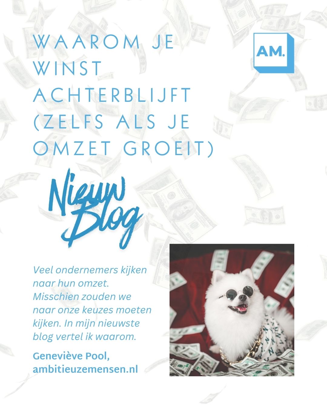 Waarom je winst achterblijft (zelfs als je omzet groeit)